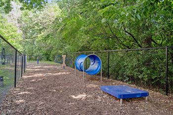 Dog park